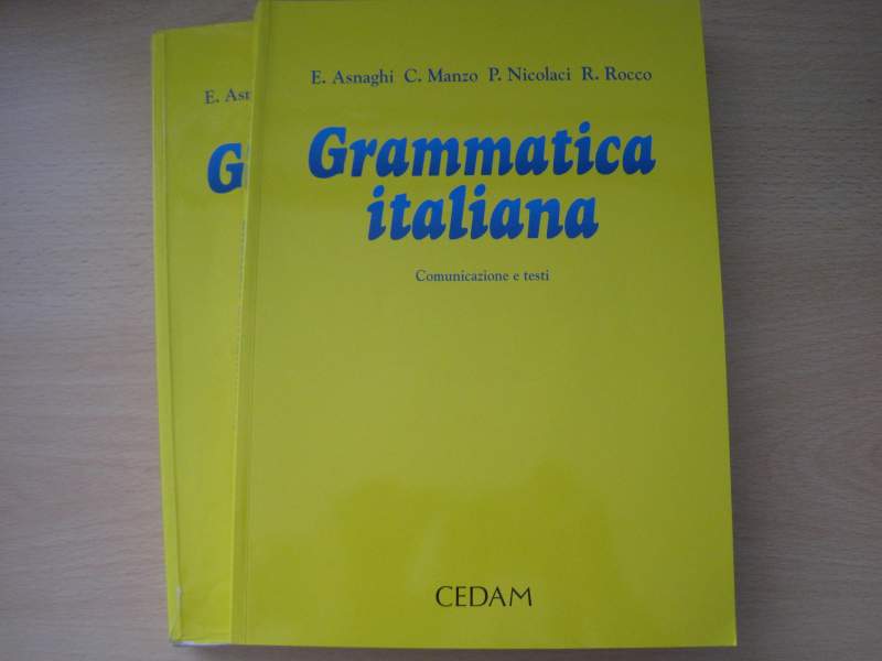 Grammatica italiana. Comunicazione e testi