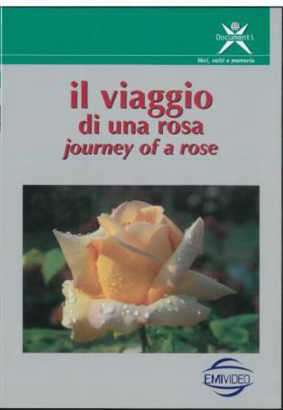Il viaggio di una rosa (journey of a rose)